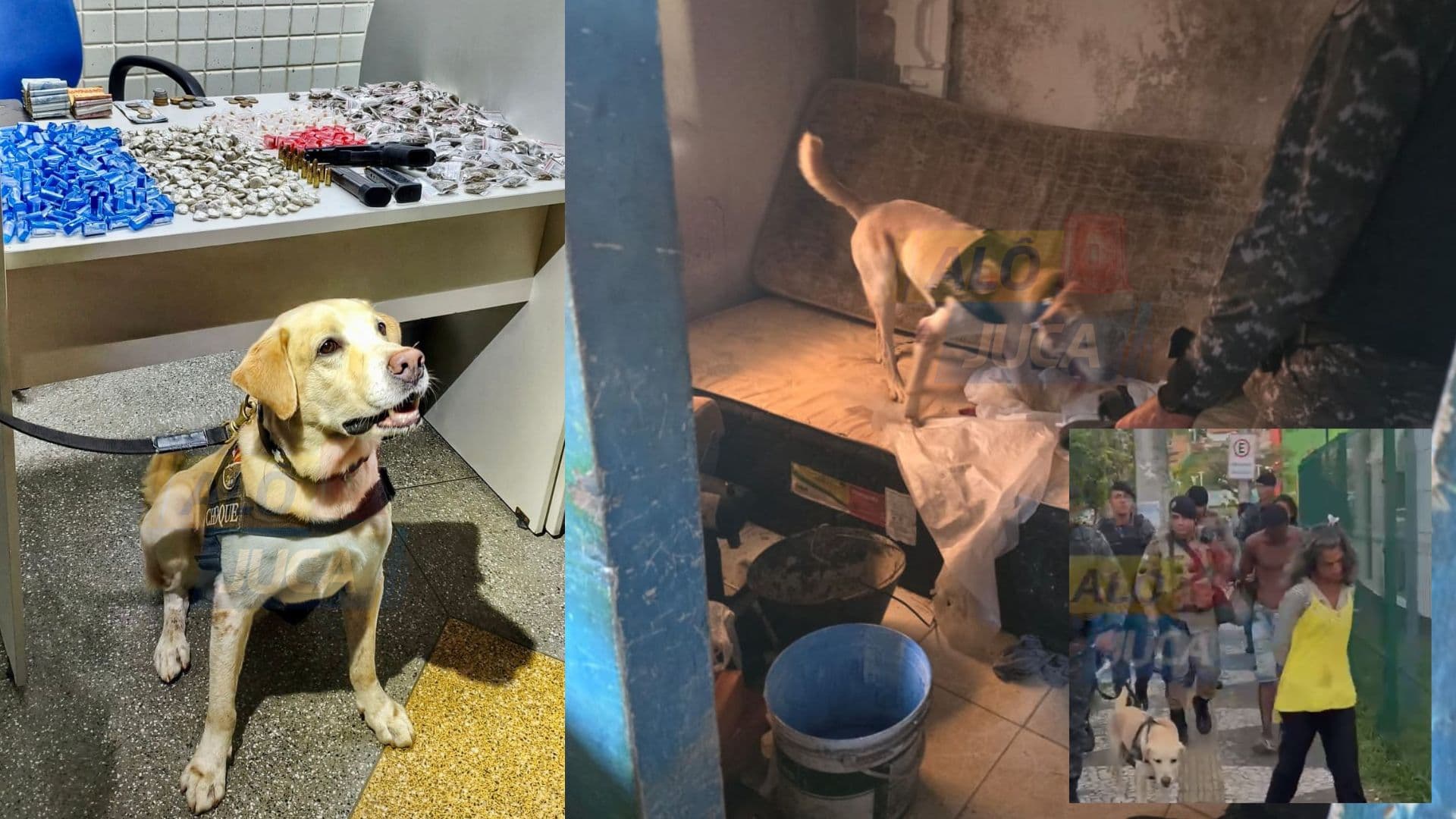 Imagem de TRIO TERNURA: duas mulheres e um homem são presos com drogas e pistola em operação no Condor, Águas Claras