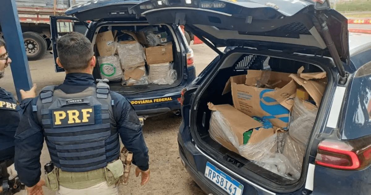 Imagem de Operação da PRF e PF apreende 340 quilos de drogas em caminhão na BR-116, em Feira de Santana