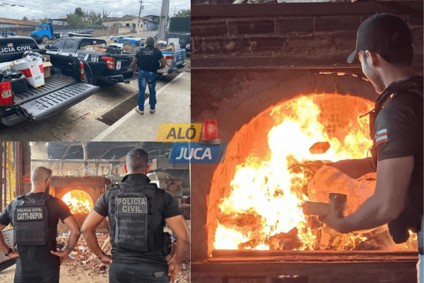 Imagem de DESTRUIÇÃO DE ENTORPECENTES: Polícia Civil incinera mais de 350 quilos de drogas em Eunápolis